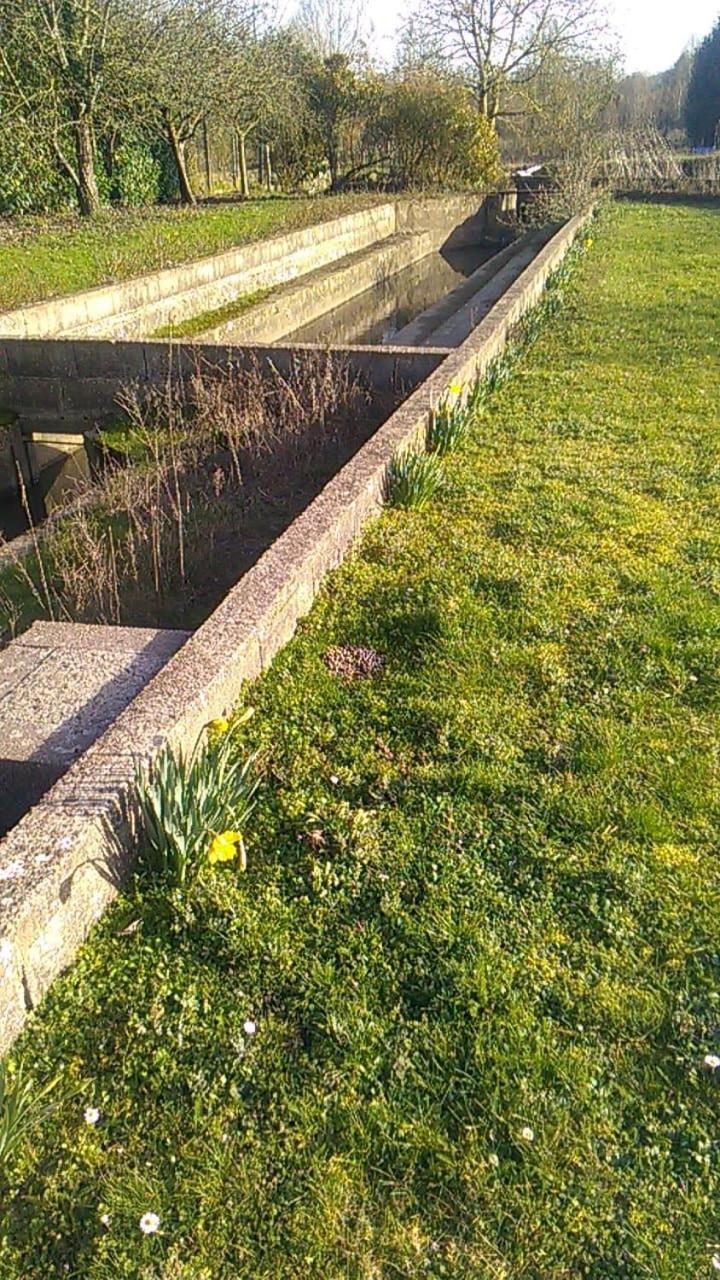 Gite Du Pont De Tancelle Préaux Exterior foto